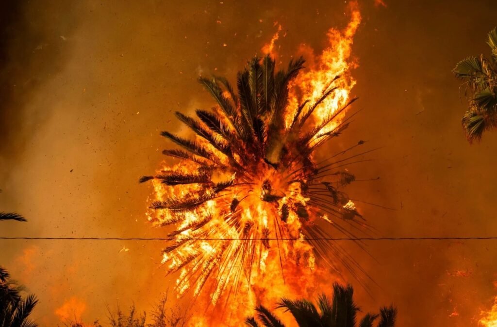 Grappling with devastating fires, Los Angeles sees deaths and disaster