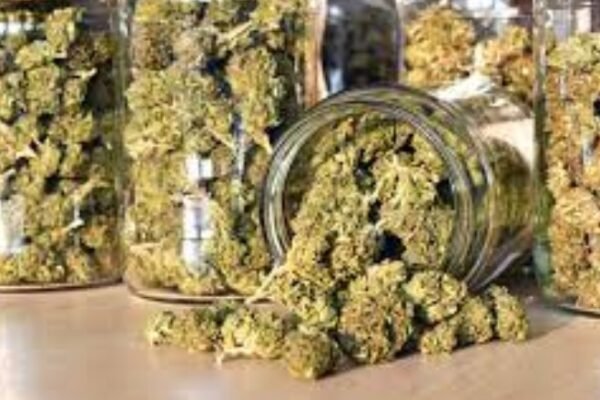 American Ganja smuggled to Hyderabad