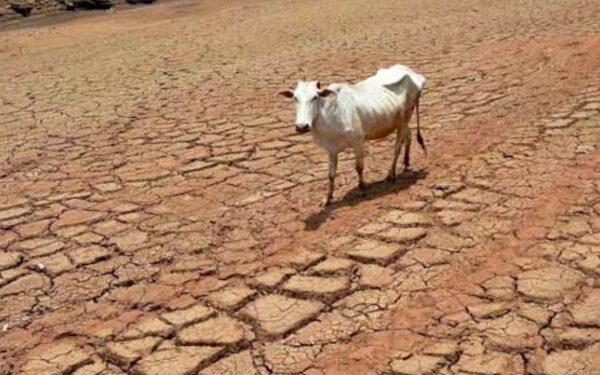 Key Decision on Drought-Affected mandals in Andhra Pradesh
