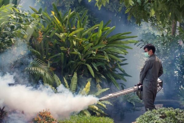 Now ‘fogging on request’ in GHMC mobile app