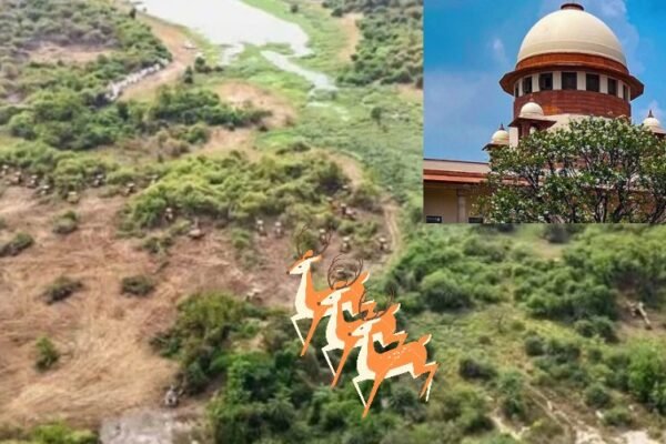 Kancha Gachibowli: Supreme Court intervenes decisively, Makes Telangana CS accountable