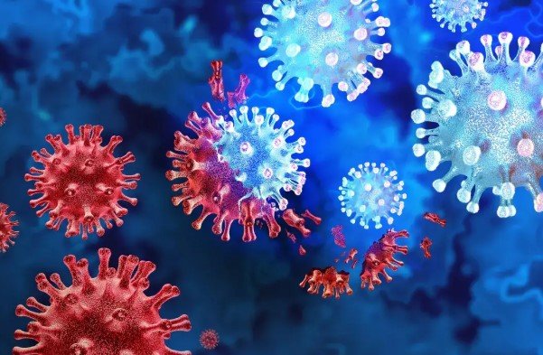 Caution Urged as New COVID-19 Variant Sparks Concern in Telugu States