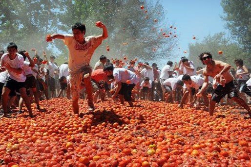 Hyderabad’s Tomato Battle Set to Make a Splash