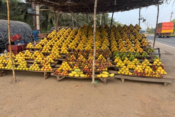 Ban on Totapuri Mangoes imports from neighbouring states